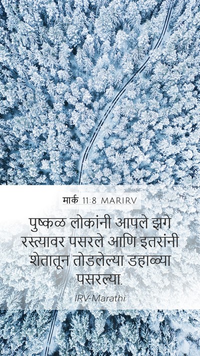 मार्क 11:8 MARIRV Mobile Phone Wallpaper - पुष्कळ लोकांनी - Mobile Bible Verse Wallpaper