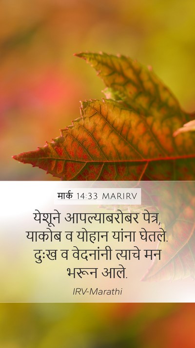 मार्क 14:33 MARIRV Bible Verse Image