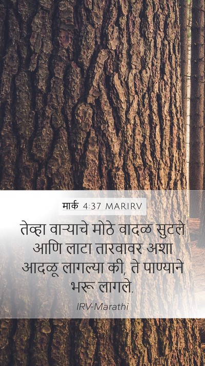 मार्क 4:37 MARIRV Bible Verse Image