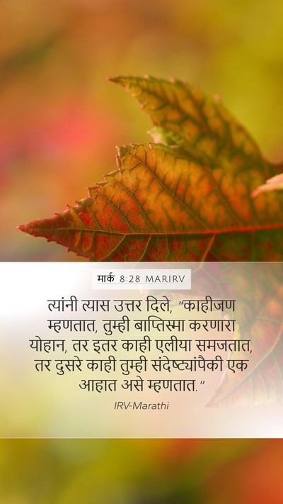 मार्क 8:28 MARIRV Bible Verse Image