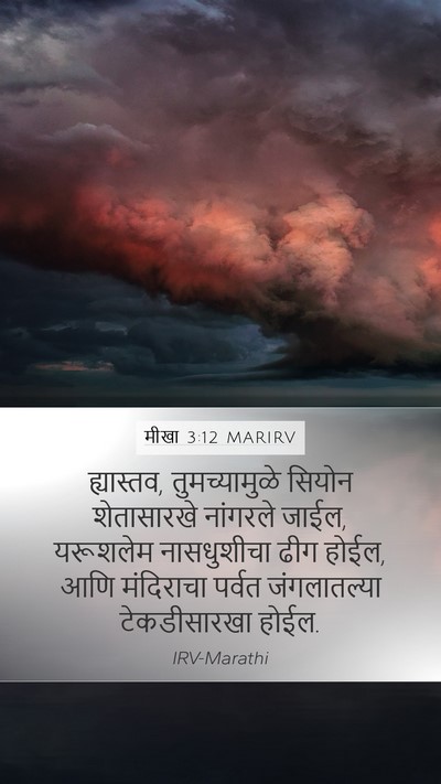 मीखा 3:12 MARIRV Bible Verse Image