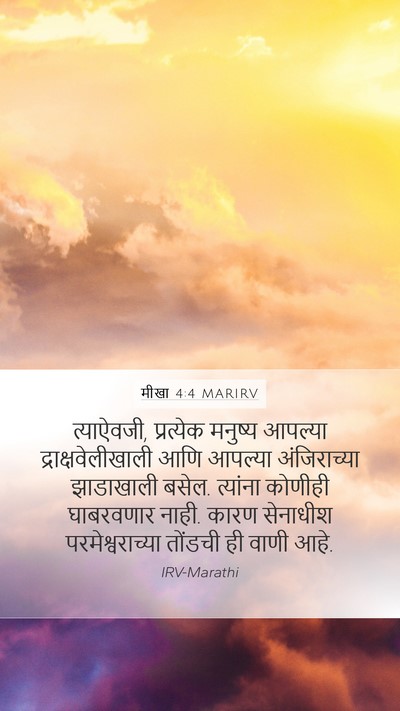 मीखा 4:4 MARIRV Bible Verse Image