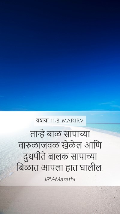 यशया 11:8 MARIRV Bible Verse Image