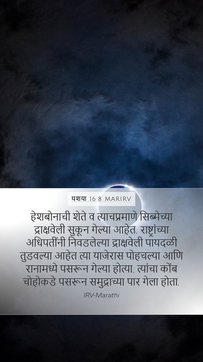 यशया 16:8 MARIRV Bible Verse Image