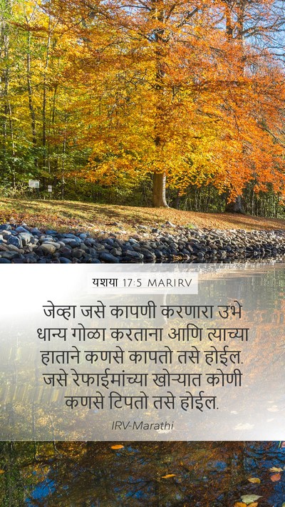 यशया 17:5 MARIRV Bible Verse Image