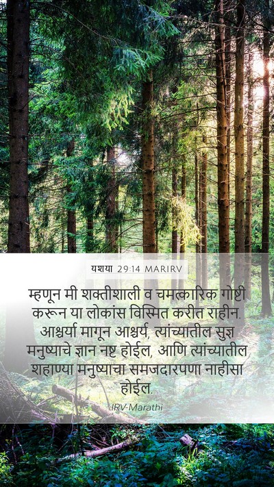 यशया 29:14 MARIRV Bible Verse Image