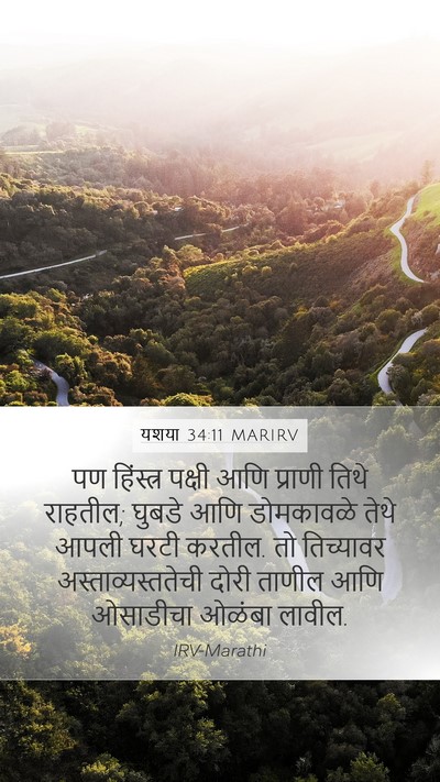 यशया 34:11 MARIRV Bible Verse Image