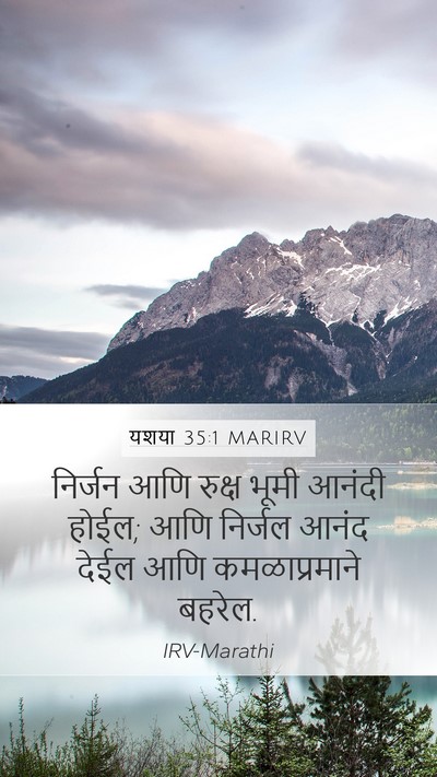 यशया 35:1 MARIRV Bible Verse Image