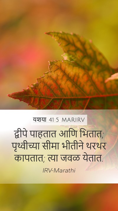 यशया 41:5 MARIRV Bible Verse Image