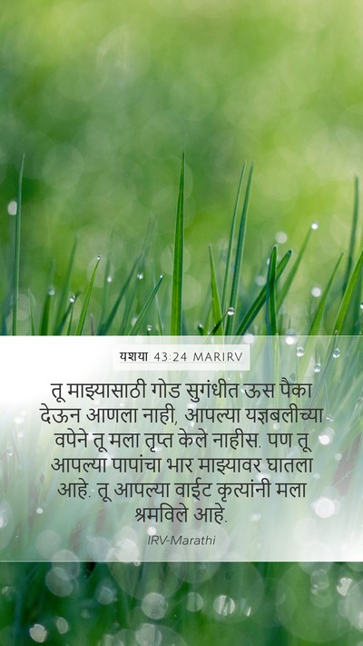यशया 43:24 MARIRV Bible Verse Image