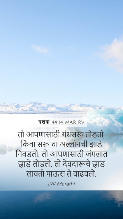 यशया 44:14 MARIRV Bible Verse Image