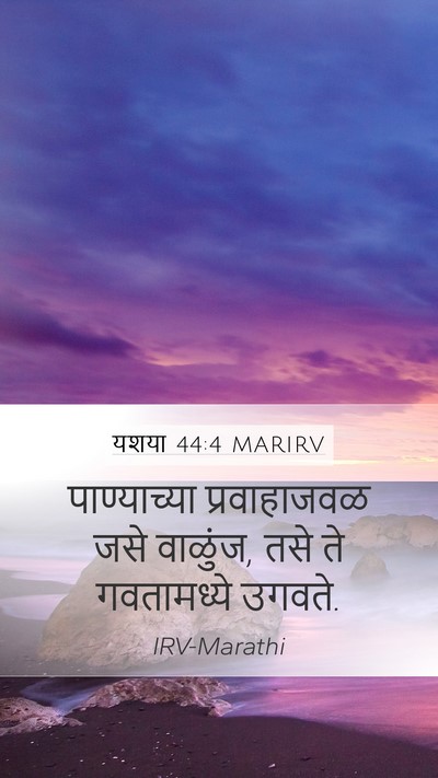 यशया 44:4 MARIRV Bible Verse Image