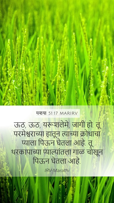 यशया 51:17 MARIRV Bible Verse Image