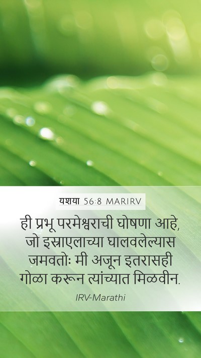 यशया 56:8 MARIRV Mobile Phone Wallpaper - ही प्रभू - Mobile Bible Verse Wallpaper