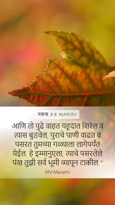 यशया 8:8 MARIRV Bible Verse Image