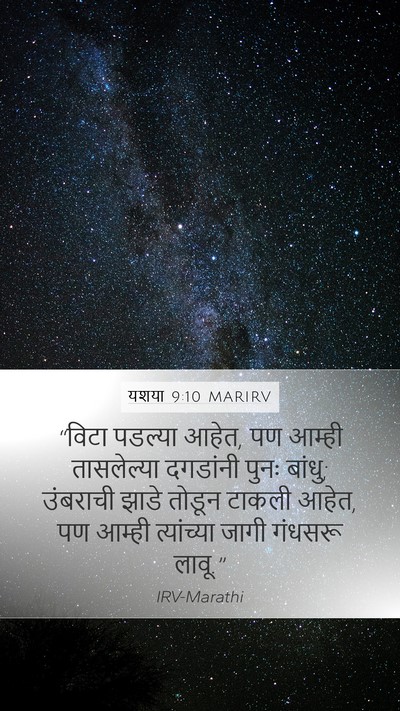 यशया 9:10 MARIRV Bible Verse Image