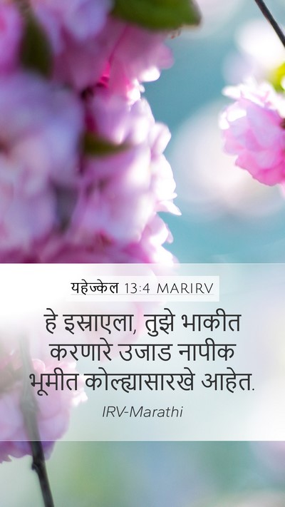 यहेज्केल 13:4 MARIRV Bible Verse Image