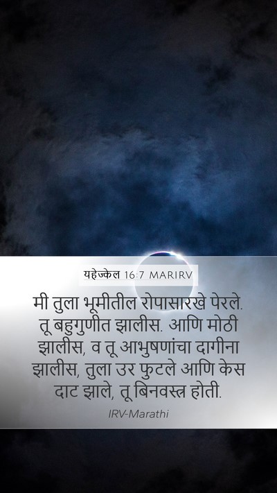 यहेज्केल 16:7 MARIRV Bible Verse Image