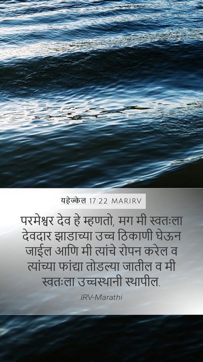यहेज्केल 17:22 MARIRV Bible Verse Image