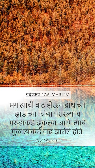 यहेज्केल 17:6 MARIRV Bible Verse Image
