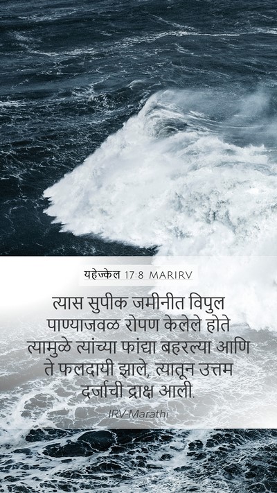 यहेज्केल 17:8 MARIRV Mobile Phone Wallpaper - त्यास सुपीक - Mobile Bible Verse Wallpaper
