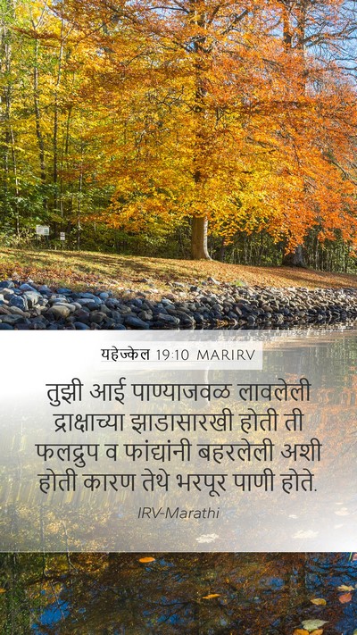 यहेज्केल 19:10 MARIRV Bible Verse Image