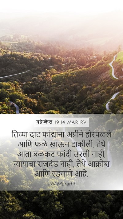 यहेज्केल 19:14 MARIRV Bible Verse Image
