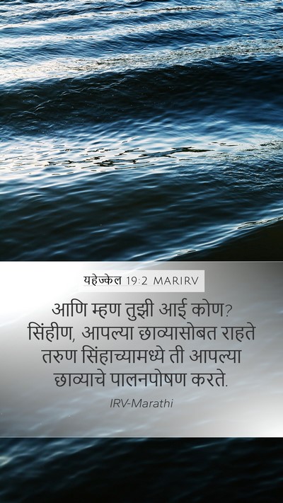 यहेज्केल 19:2 MARIRV Bible Verse Image