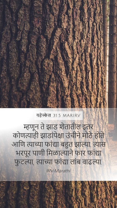 यहेज्केल 31:5 MARIRV Mobile Phone Wallpaper - म्हणून ते झाड - Mobile Bible Verse Wallpaper