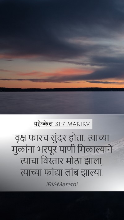 यहेज्केल 31:7 MARIRV Mobile Phone Wallpaper - वृक्ष फारच सुंदर - Mobile Bible Verse Wallpaper