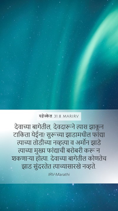 यहेज्केल 31:8 MARIRV Mobile Phone Wallpaper - देवाच्या बागेतील, - Mobile Bible Verse Wallpaper