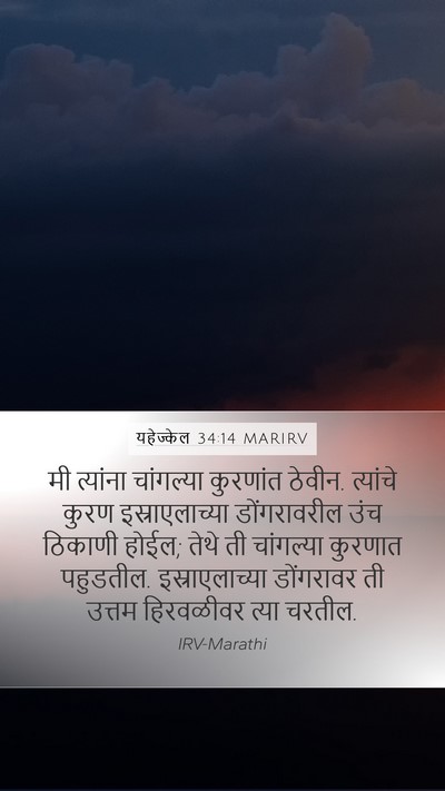 यहेज्केल 34:14 MARIRV Bible Verse Image