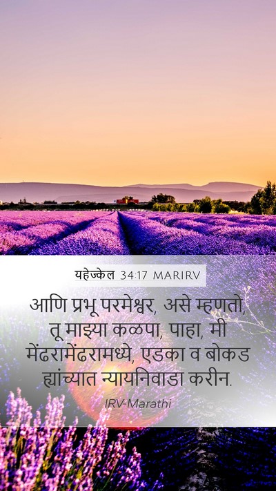 यहेज्केल 34:17 MARIRV Bible Verse Image