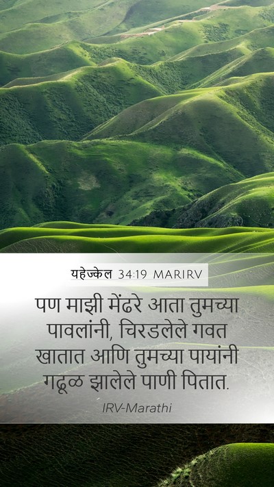 यहेज्केल 34:19 MARIRV Bible Verse Image
