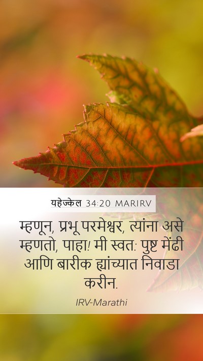 यहेज्केल 34:20 MARIRV Bible Verse Image