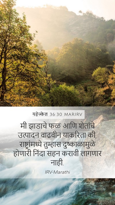 यहेज्केल 36:30 MARIRV Mobile Phone Wallpaper - मी झाडाचे फळ आणि - Mobile Bible Verse Wallpaper