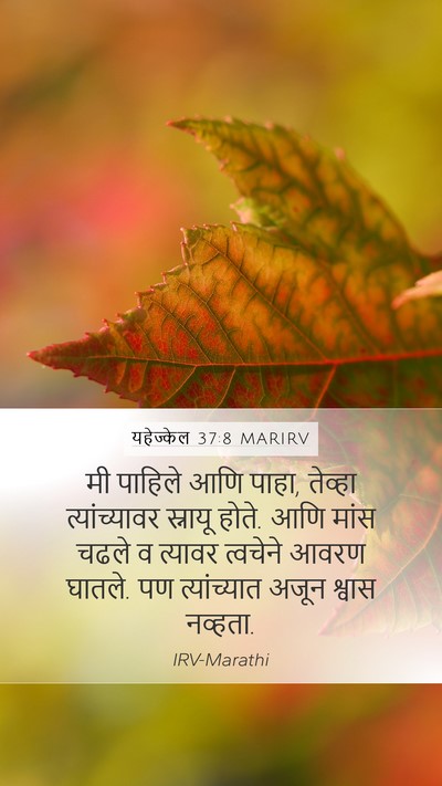 यहेज्केल 37:8 MARIRV Mobile Phone Wallpaper - मी पाहिले आणि पाहा, - Mobile Bible Verse Wallpaper