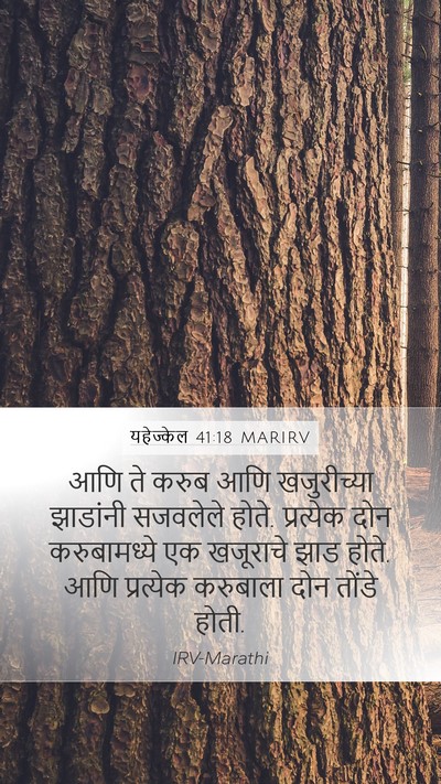 यहेज्केल 41:18 MARIRV Bible Verse Image