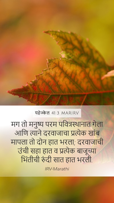 यहेज्केल 41:3 MARIRV Mobile Phone Wallpaper - मग तो मनुष्य परम - Mobile Bible Verse Wallpaper