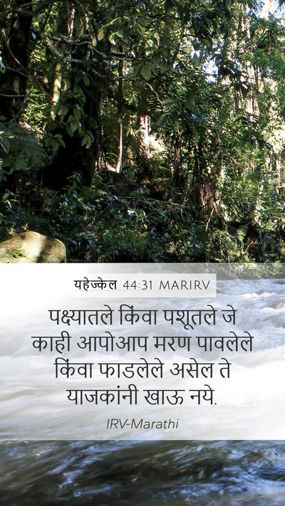 यहेज्केल 44:31 MARIRV Bible Verse Image