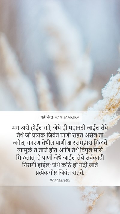 यहेज्केल 47:9 MARIRV Bible Verse Image