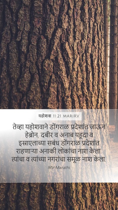 यहोशवा 11:21 MARIRV Bible Verse Image