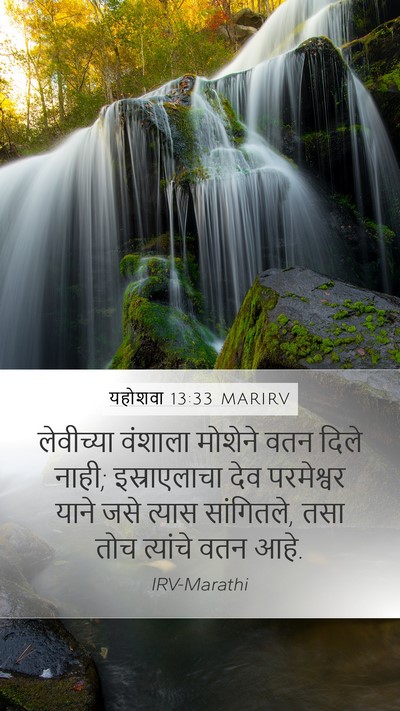 यहोशवा 13:33 MARIRV Bible Verse Image