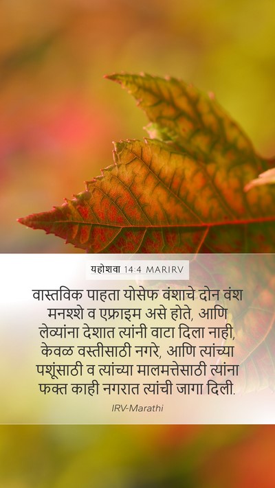 यहोशवा 14:4 MARIRV Mobile Phone Wallpaper - वास्तविक पाहता - Mobile Bible Verse Wallpaper