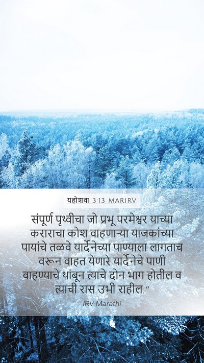 यहोशवा 3:13 MARIRV Bible Verse Image