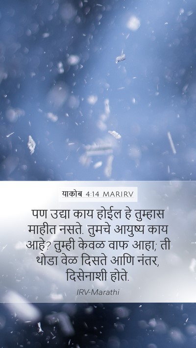 याकोब 4:14 MARIRV Bible Verse Image