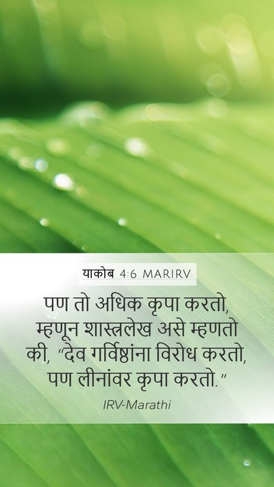याकोब 4:6 MARIRV Bible Verse Image