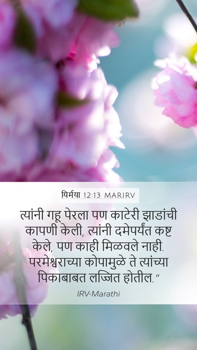यिर्मया 12:13 MARIRV Mobile Phone Wallpaper - त्यांनी गहू पेरला - Mobile Bible Verse Wallpaper