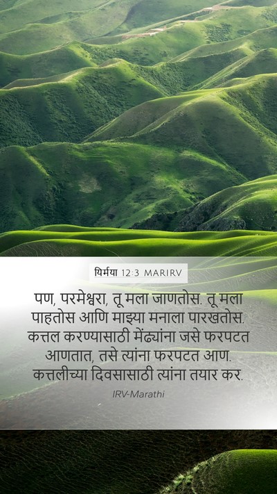 यिर्मया 12:3 MARIRV Bible Verse Image