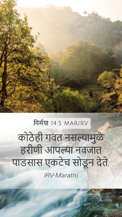 यिर्मया 14:5 MARIRV Bible Verse Image